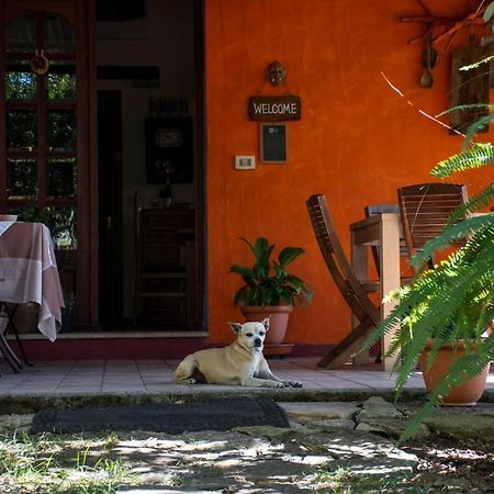 B&B La Noria San Sperate Exterior photo