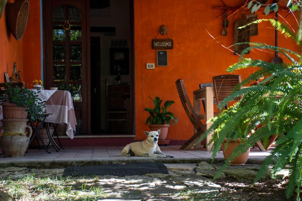 B&B La Noria San Sperate Exterior photo